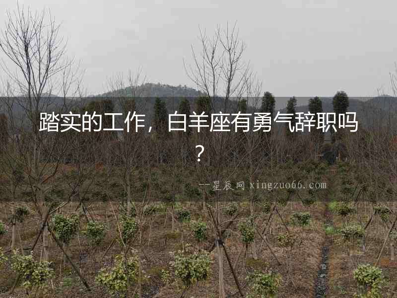 踏實的工作，白羊座有勇氣辭職嗎？