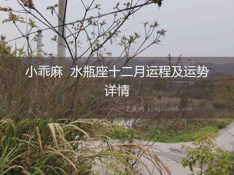 小乖麻  水瓶座十二月運(yùn)程及運(yùn)勢(shì)詳情