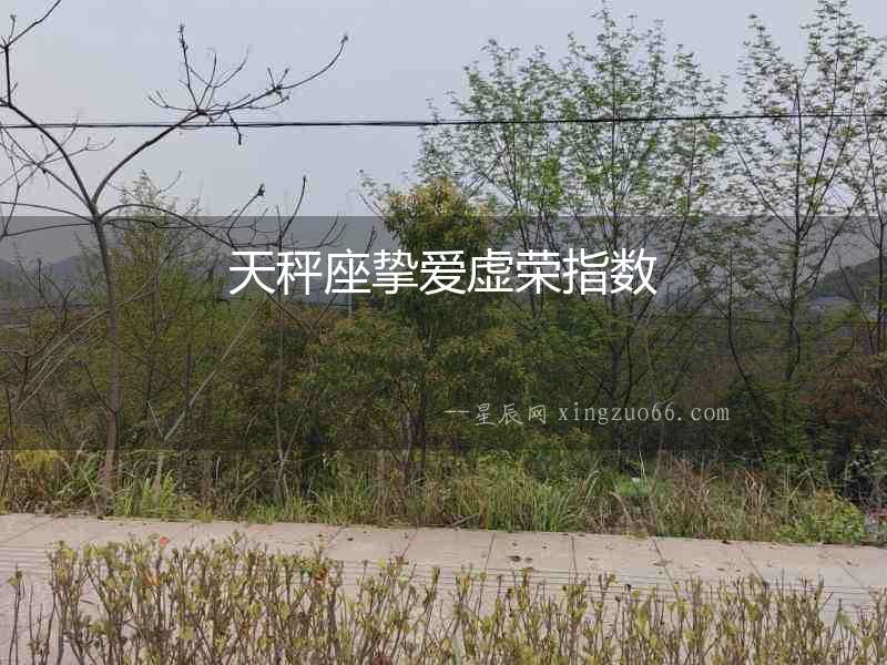 天秤座摯愛虛榮指數(shù)