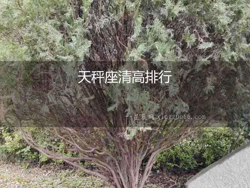 天秤座清高排行