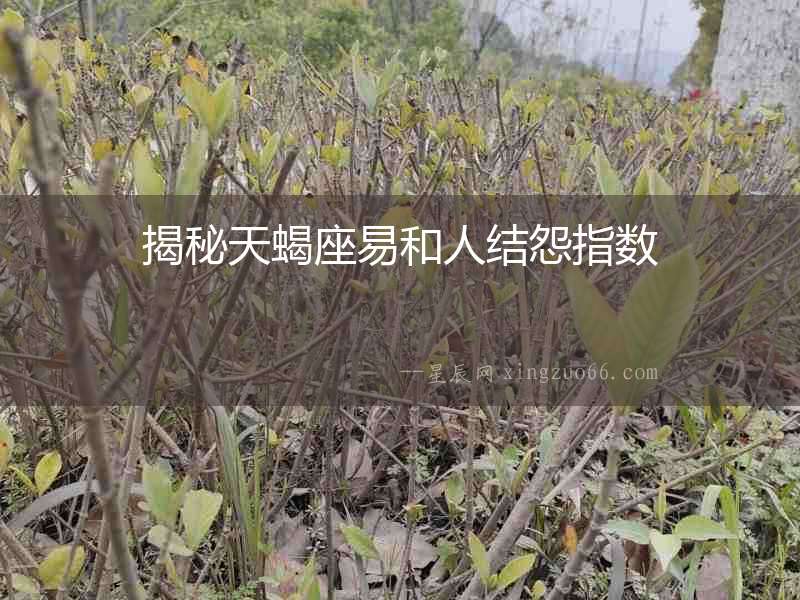 揭秘天蝎座易和人結(jié)怨指數(shù)