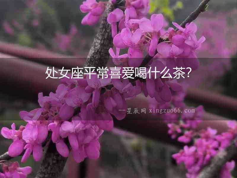 處女座平常喜愛喝什么茶？