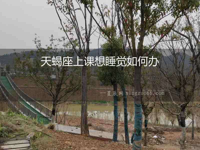 天蝎座上課想睡覺如何辦