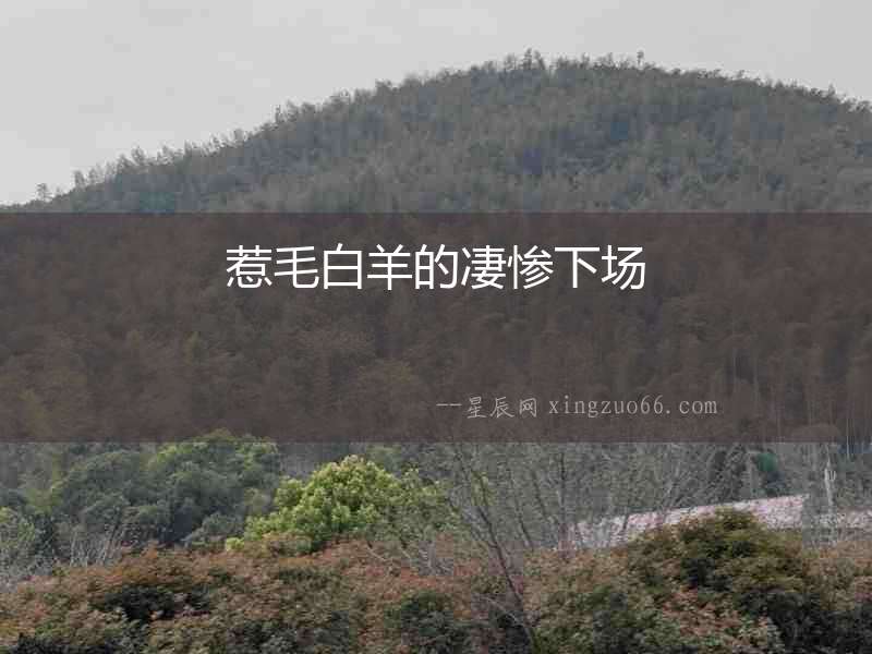 惹毛白羊的凄慘下場(chǎng)