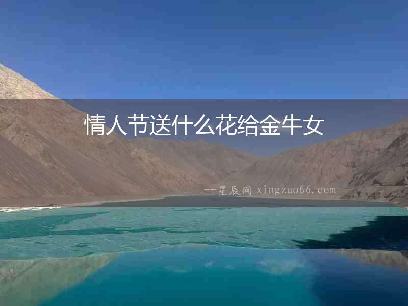 情人節送什么花給金牛女