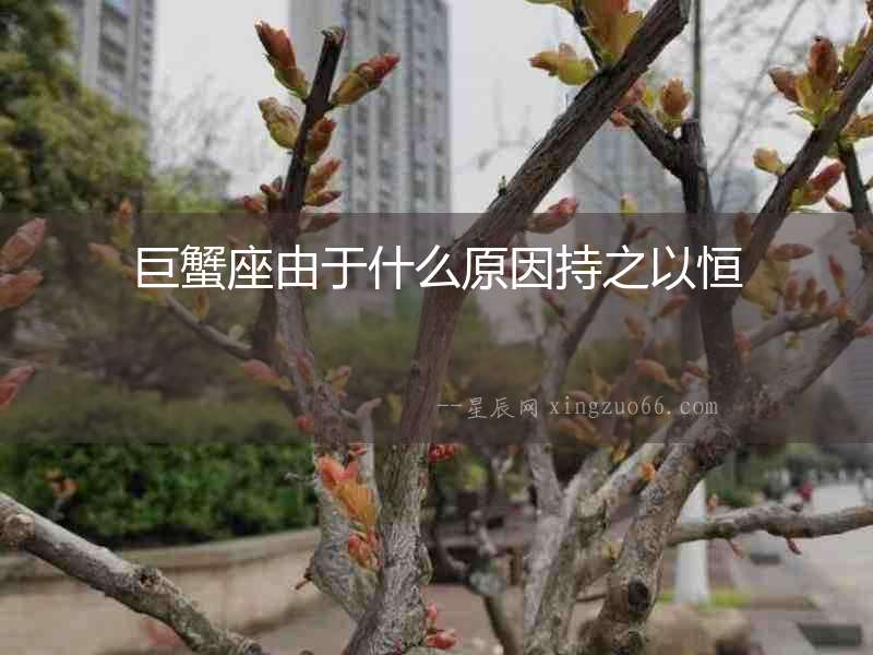 巨蟹座由于什么原因持之以恒