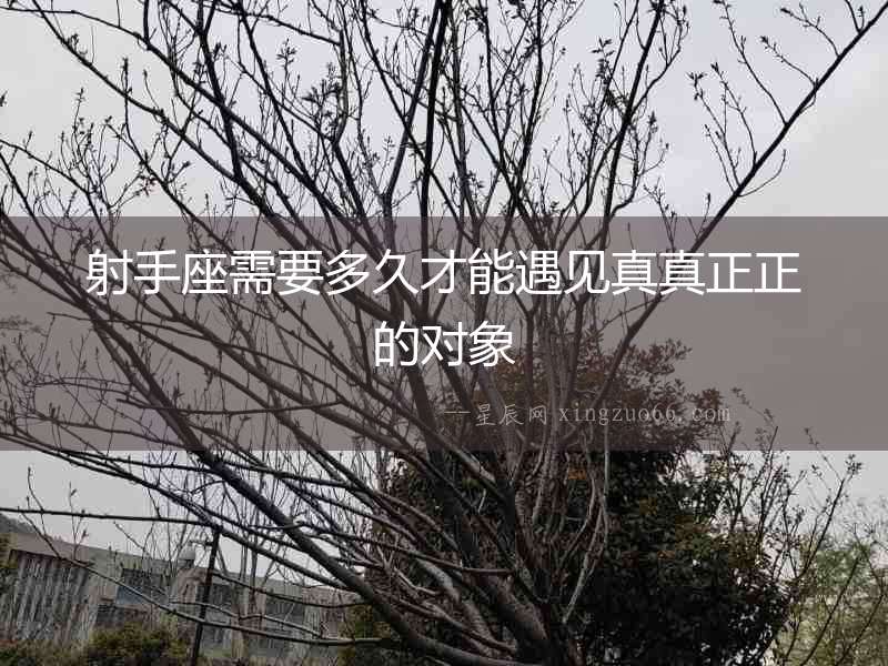 射手座需要多久才能遇見真真正正的對象