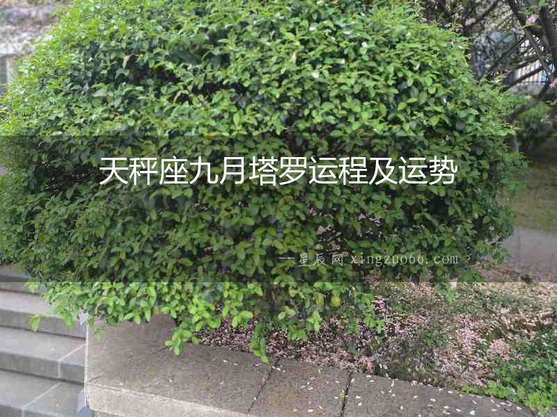 天秤座九月塔羅運程及運勢