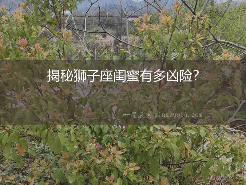 揭秘獅子座閨蜜有多兇險(xiǎn)？