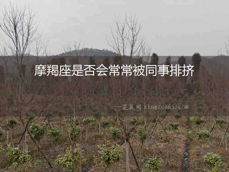 摩羯座是否會常常被同事排擠