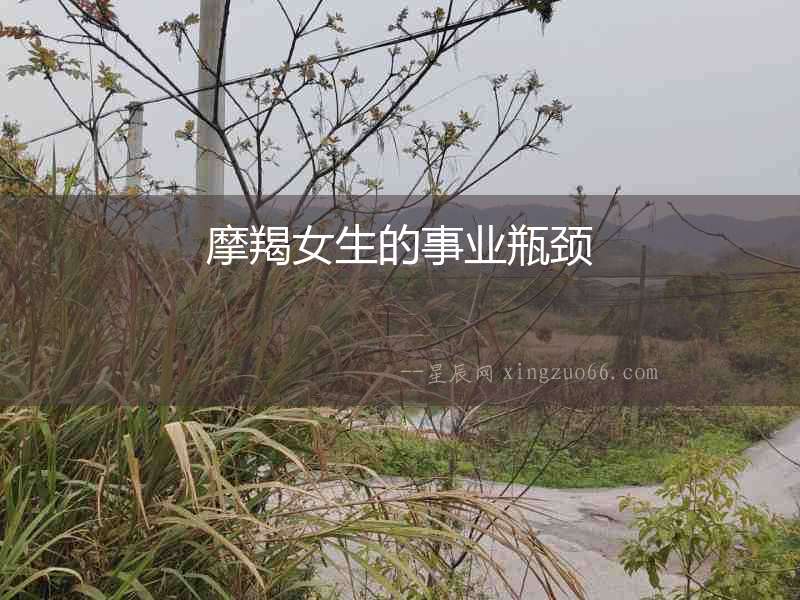摩羯女生的事業(yè)瓶頸