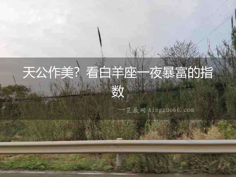 天公作美？看白羊座一夜暴富的指數