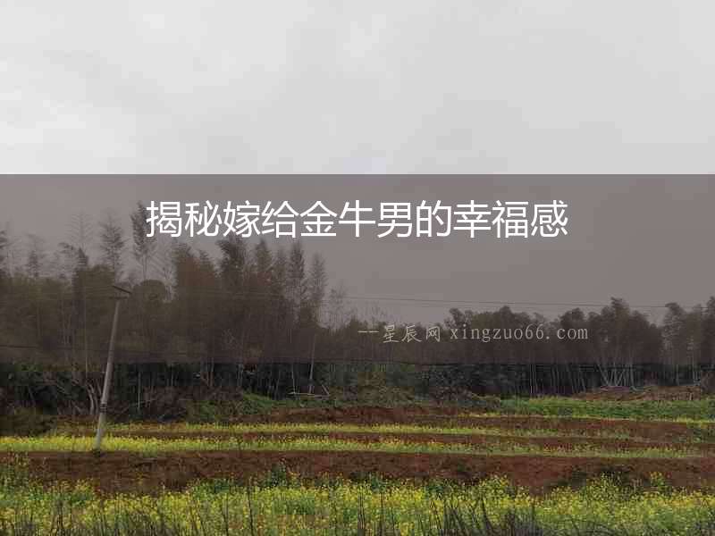 揭秘嫁給金牛男的幸福感