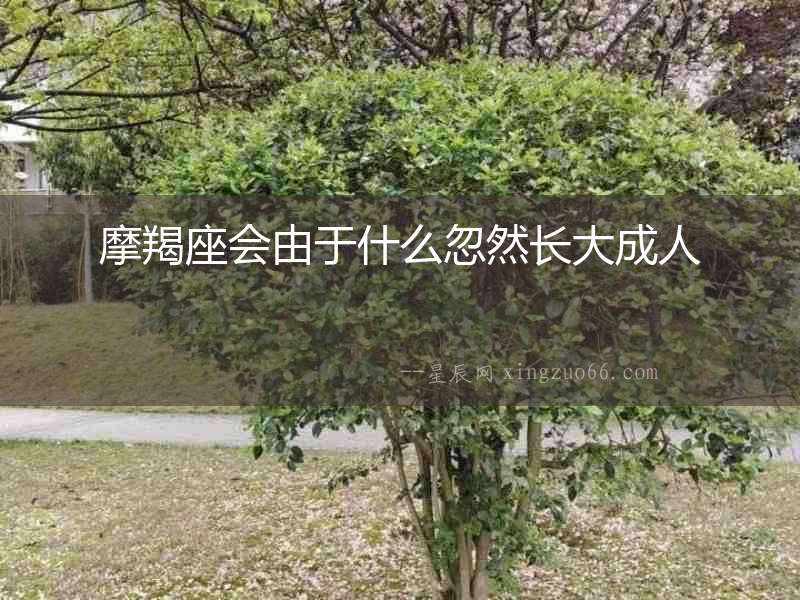 摩羯座會由于什么忽然長大成人