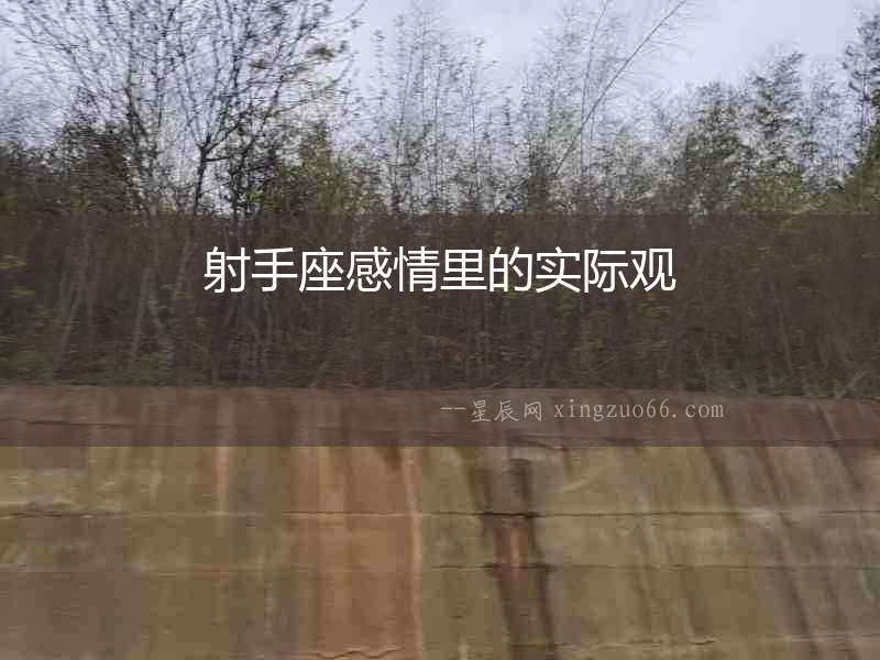 射手座感情里的實(shí)際觀