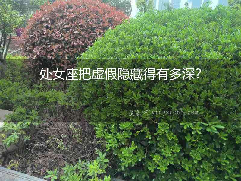 處女座把虛假隱藏得有多深？