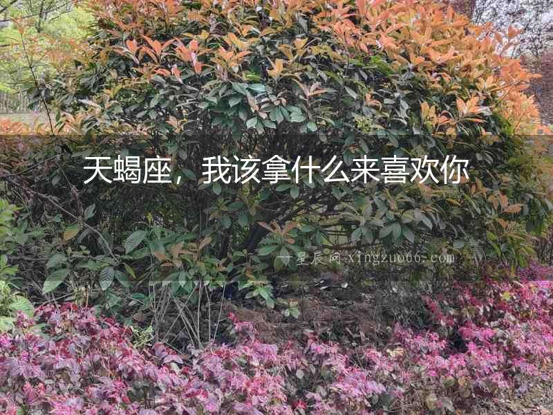 天蝎座，我該拿什么來(lái)喜歡你