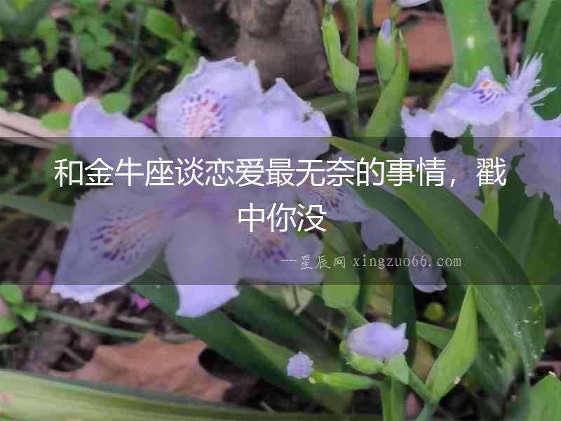 和金牛座談戀愛最無奈的事情，戳中你沒