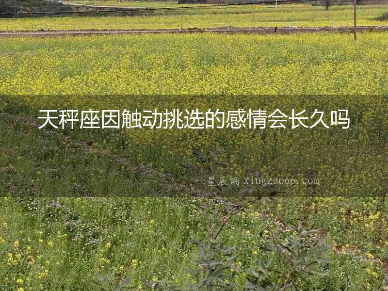天秤座因觸動挑選的感情會長久嗎
