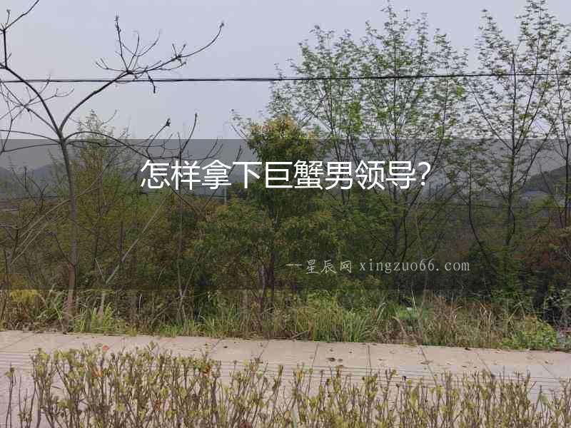 怎樣拿下巨蟹男領導？