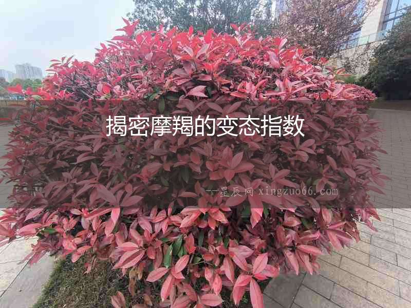 揭密摩羯的變態指數