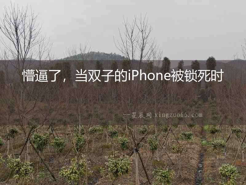 懵逼了，當(dāng)雙子的iPhone被鎖死時(shí)