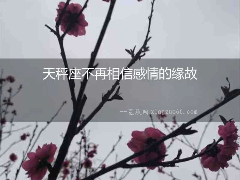 天秤座不再相信感情的緣故