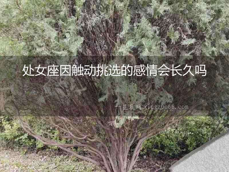 處女座因觸動(dòng)挑選的感情會(huì)長(zhǎng)久嗎