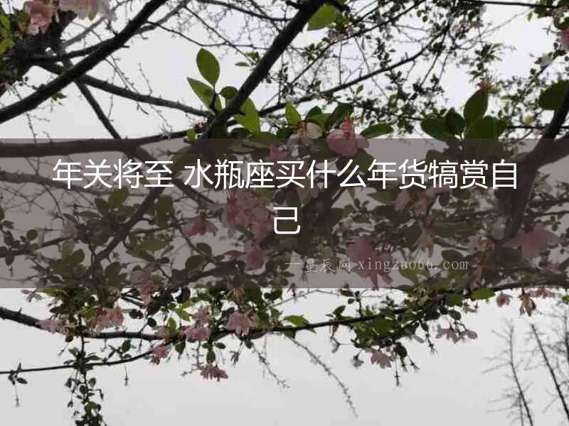 年關(guān)將至 水瓶座買什么年貨犒賞自己
