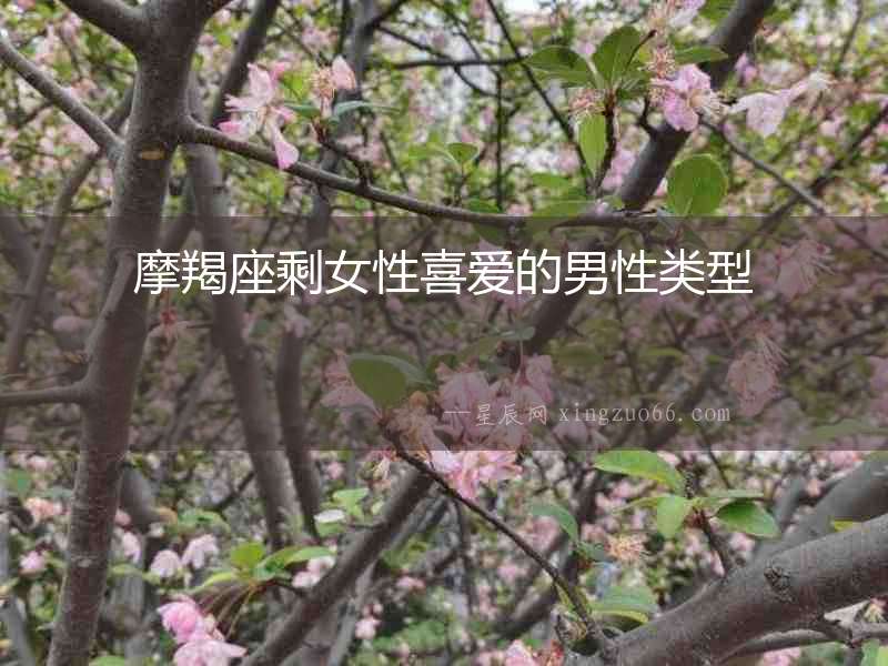 摩羯座剩女性喜愛的男性類型