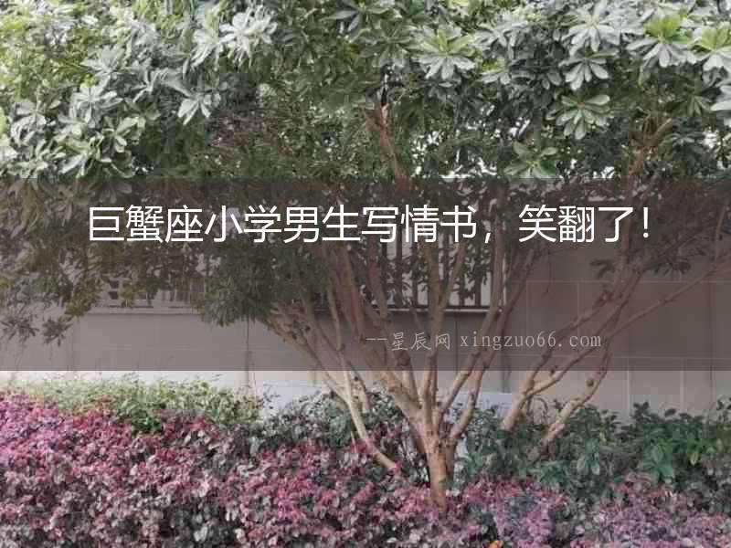 巨蟹座小學男生寫情書，笑翻了！