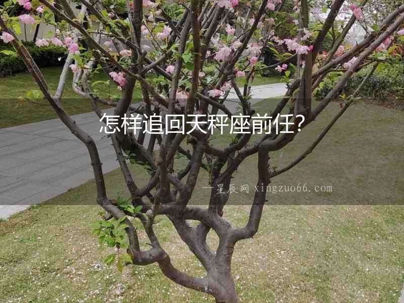 怎樣追回天秤座前任？