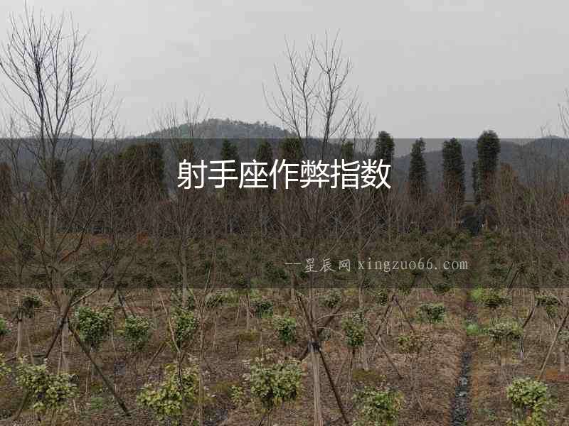 射手座作弊指數