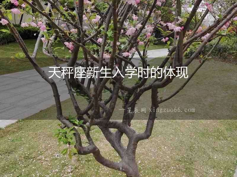 天秤座新生入學(xué)時(shí)的體現(xiàn)