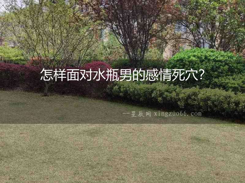 怎樣面對水瓶男的感情死穴？