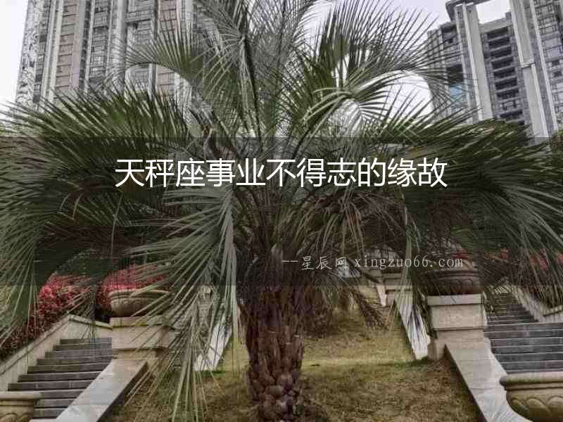 天秤座事業(yè)不得志的緣故