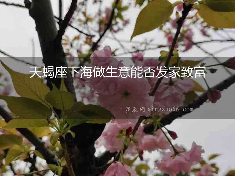 天蝎座下海做生意能否發(fā)家致富