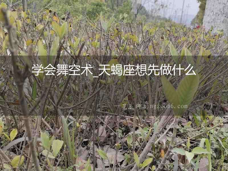 學(xué)會舞空術(shù)_天蝎座想先做什么