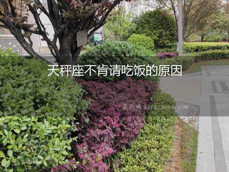 天秤座不肯請吃飯的原因