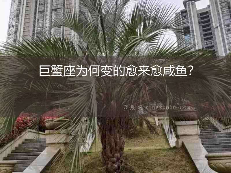 巨蟹座為何變的愈來愈咸魚？