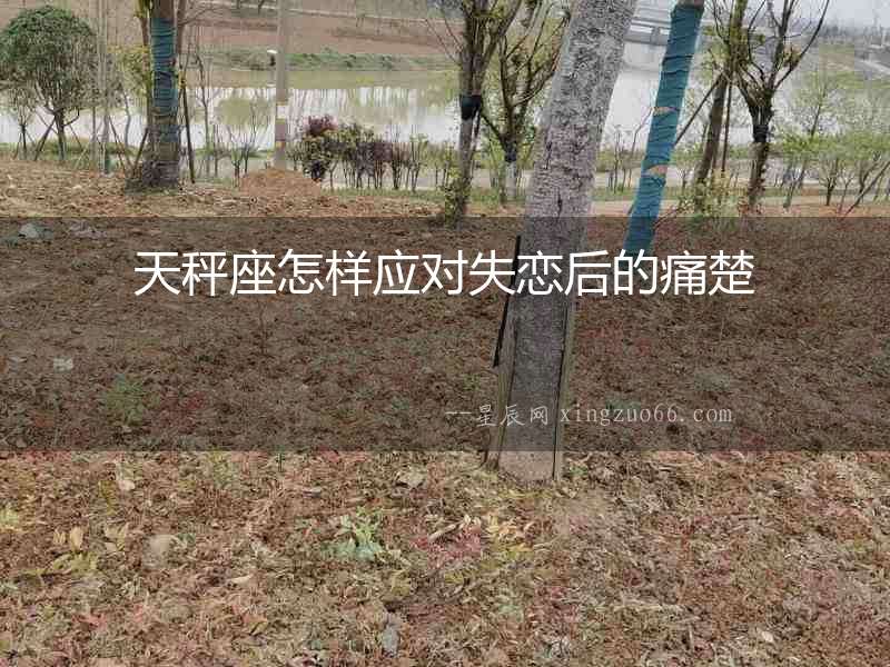 天秤座怎樣應(yīng)對(duì)失戀后的痛楚