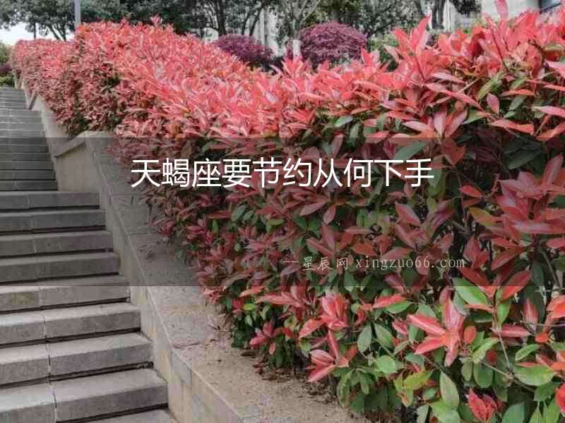 天蝎座要節約從何下手