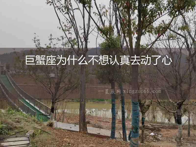 巨蟹座為什么不想認真去動了心