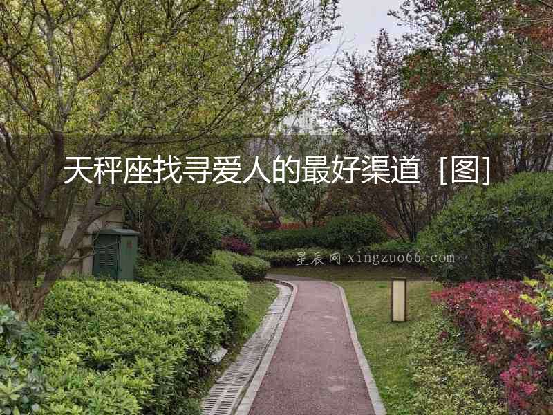 天秤座找尋愛人的最好渠道［圖］