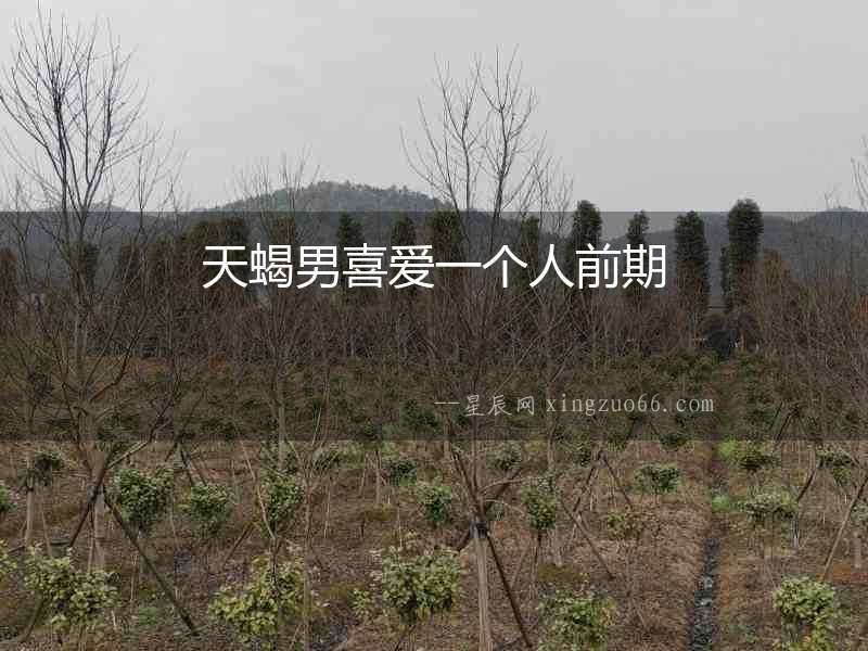 天蝎男喜愛一個人前期