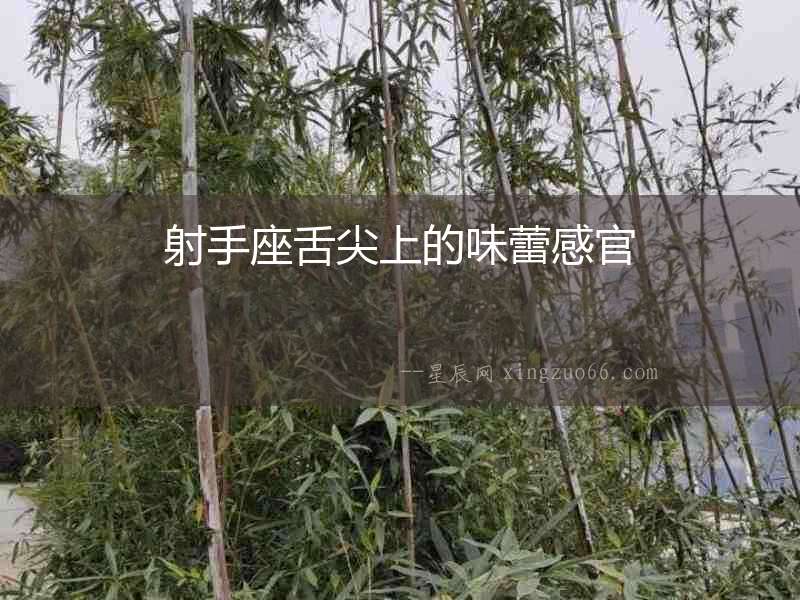 射手座舌尖上的味蕾感官