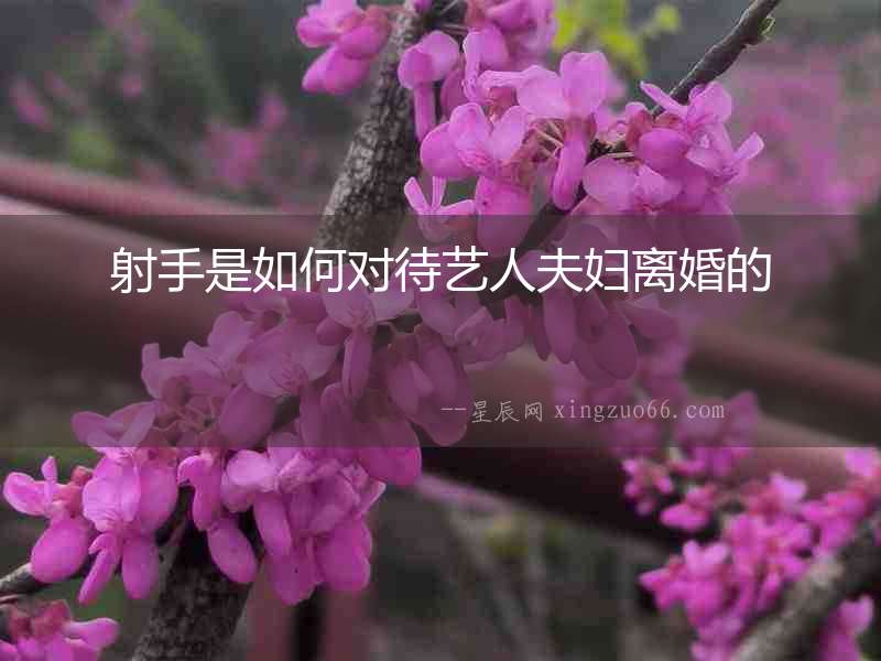 射手是如何對待藝人夫婦離婚的