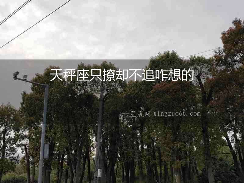 天秤座只撩卻不追咋想的
