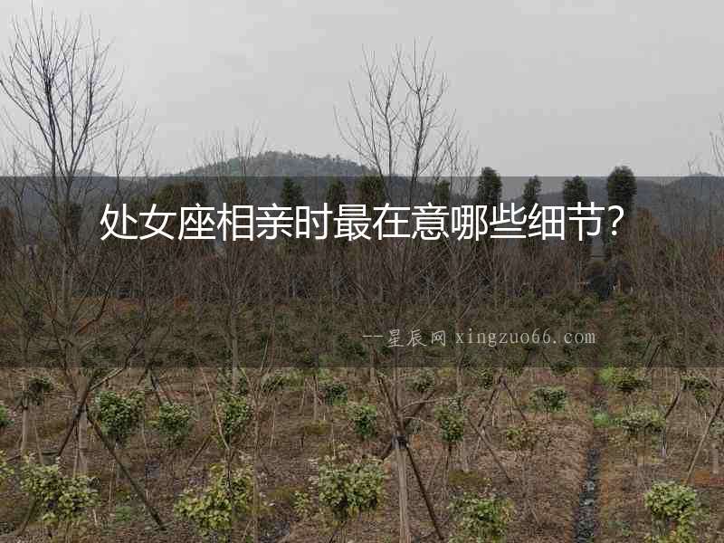 處女座相親時(shí)最在意哪些細(xì)節(jié)？