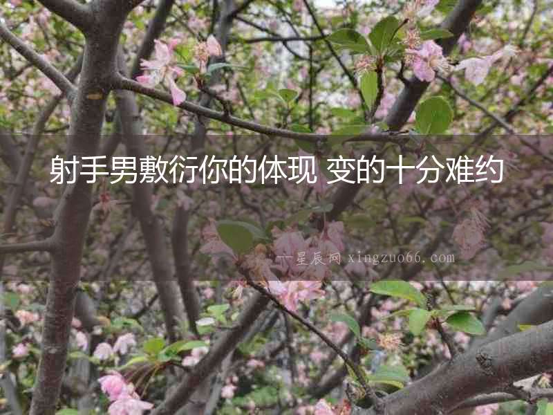 射手男敷衍你的體現 變的十分難約